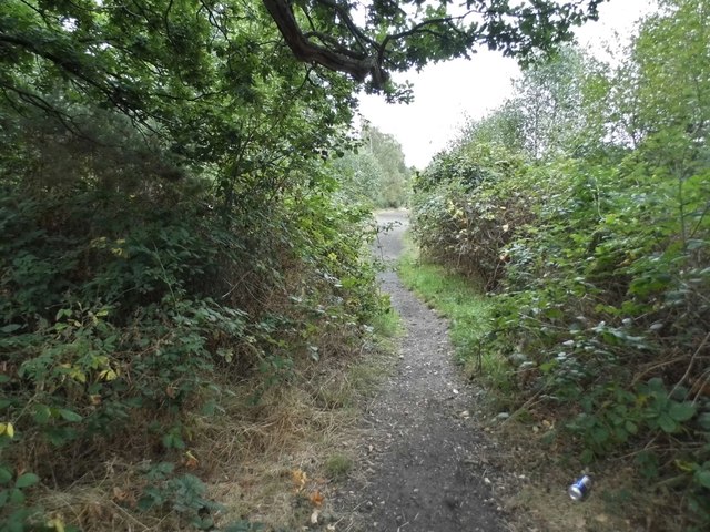 Path on Yateley Common