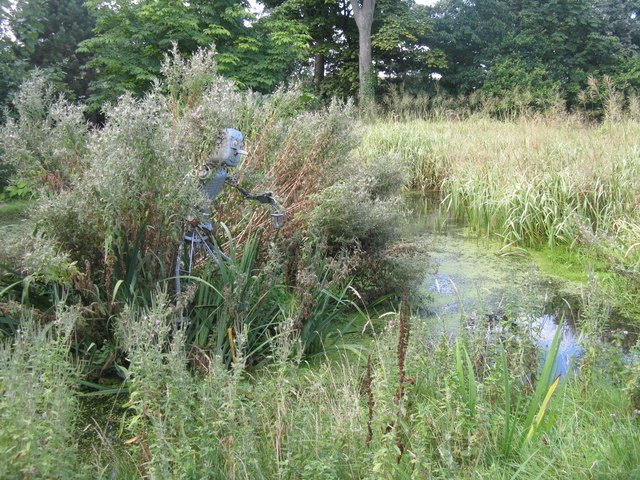 Pond in Cockenzie House wild garden © M J Richardson cc-by-sa/2.0 ...