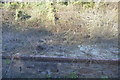 Abandoned platform, St Budeaux Victoria Road Station