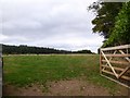 Woodland to the west of Langstone