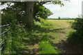 Path near Lymburghs Farm