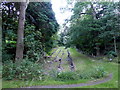 TA0388 : Manor Road Cemetery by PAUL FARMER