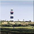 W6339 : Lighthouse, Old Head of Kinsale by David P Howard