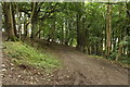 Hill Path to Girvan