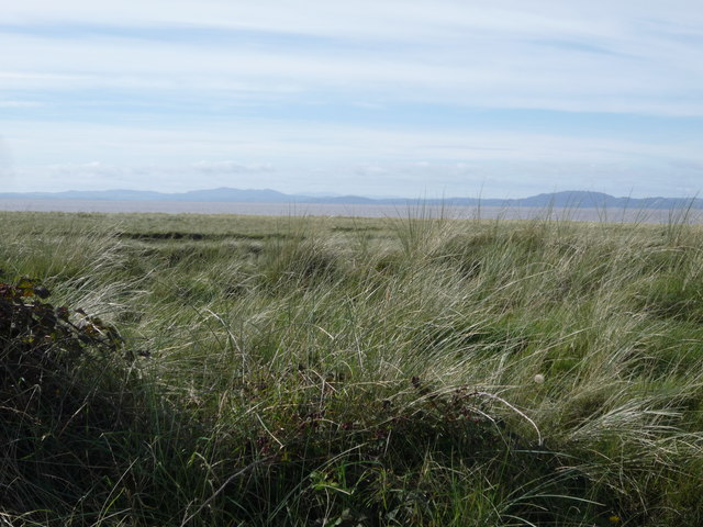Coastal grassland south west of Mawbray