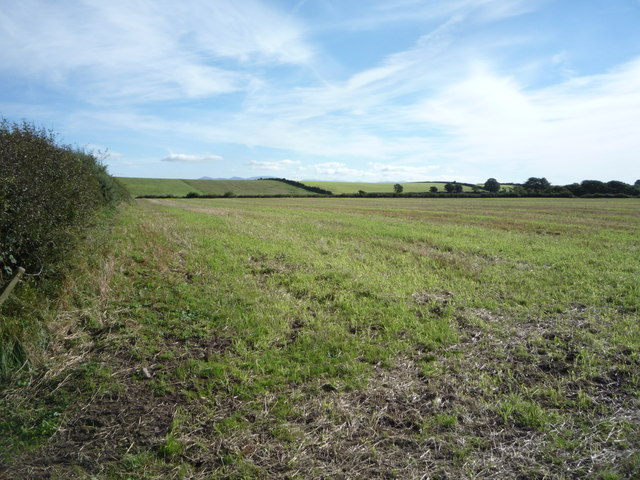 Grazing east of Mawbray © JThomas :: Geograph Britain and Ireland