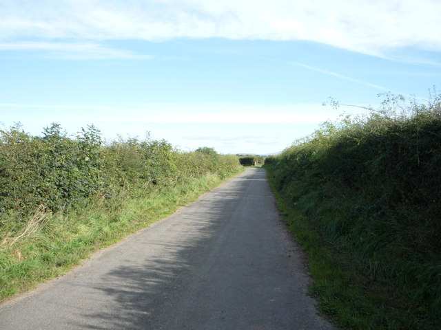 Minor road towards New Cowper 