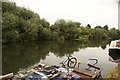 View of bushes reflected in the River Lea at Tottenham Hale #2