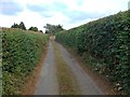 Lone Barn Road, Warren Street