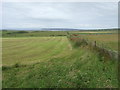 Field boundary near Mayfield