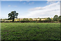 W4572 : Fields south of Coachford by David P Howard