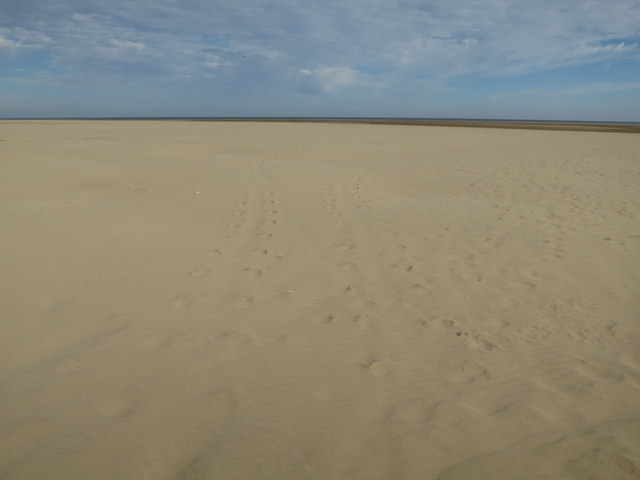 Seal tracks on High Sand