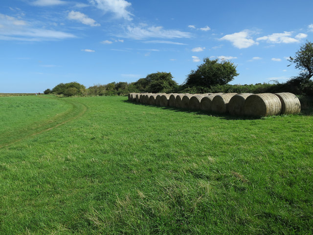 Bales by the coast path