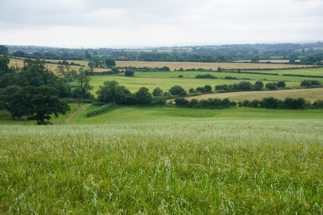 Cotswold farmland above Withy Bed