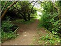 Footpath in Dry Sandford Nature Reserve