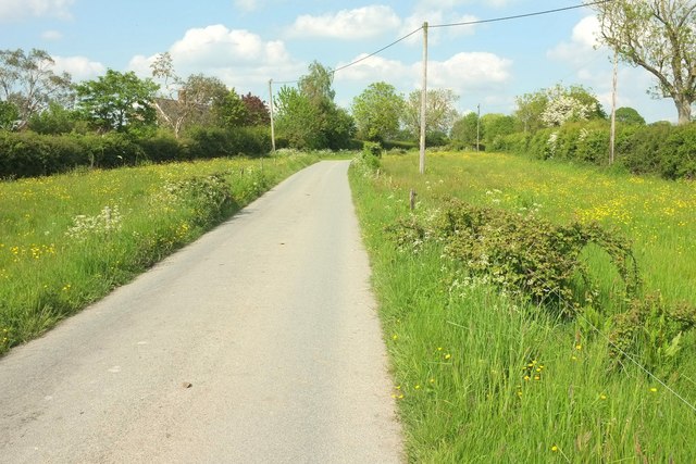 Lane past Froghole Farm