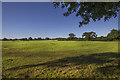 Trench, Dudleston Heath