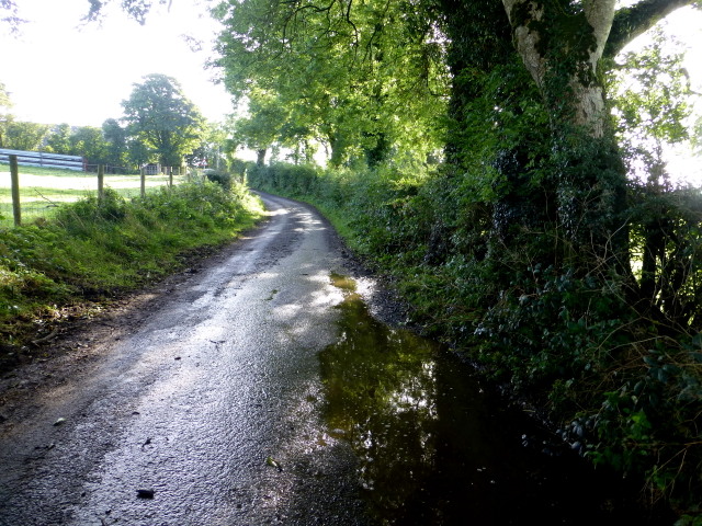 A muddy road, Bracky