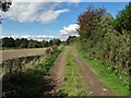 Farm track west of Windmill Hill