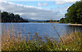 Loch Ken View