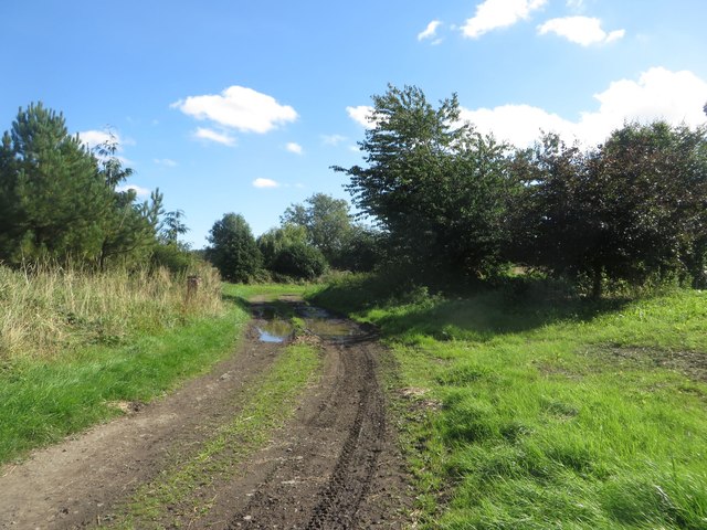 Farm track at Low Park