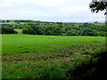 Magharenny Townland