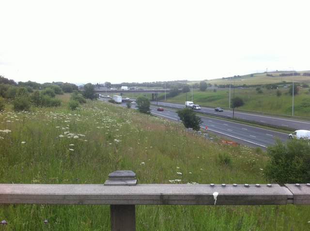 Wildflowers in the middle of Chadderton Roundabout