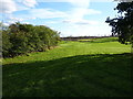 Footpath across the park