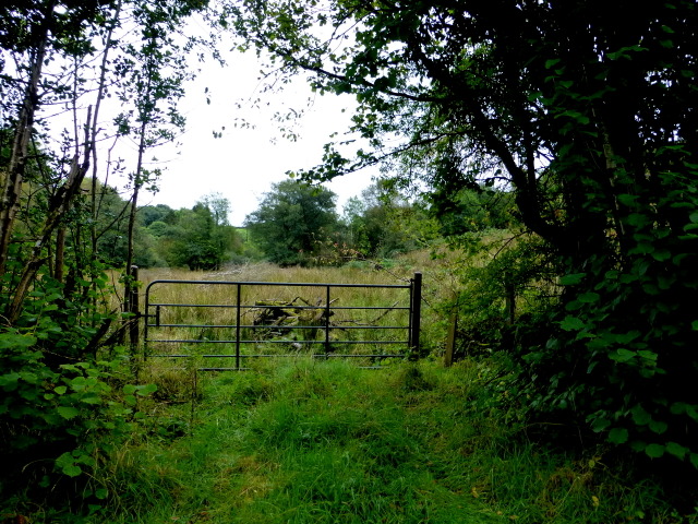 Gate to a rushy field, Magharenny