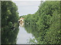 Glimpse of Hardmead Lock from a footbridge