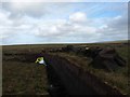 NB4254 : Peat cutting near Borve, Isle of Lewis by Claire Pegrum