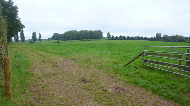 Pasture land at The Brodder