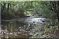 River Sirhowy, Pontllanfraith