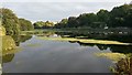 The Mill Pond, Pembroke