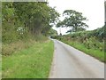 A narrow road with a wide verge at Lane End Cross