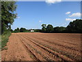 Footpath and harvested potato field