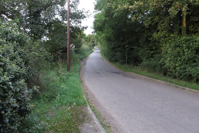 Lane to Westbury