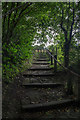 Foot path to Minera Lead Mines