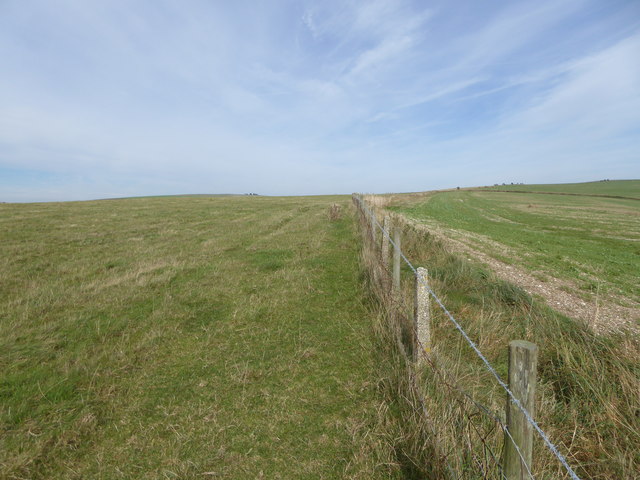 Fence line on Tenant Hill looking northwards