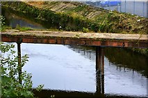 SE2734 : River Aire, Armley, Leeds by Mark Stevenson