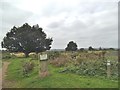 Hartlebury Common Path