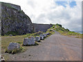 SX9456 : Quarry and road, Berry Head by Richard Dorrell