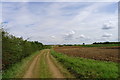 SK9122 : Farm track east of Stainby by Tim Heaton