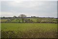 Farmland, Rosevidney Farm