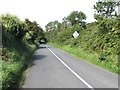 J1707 : The Omeath back-road approaching The Bush by Eric Jones