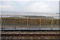 South West Coast path by the Cornish Main Line