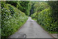 Footpath heading south