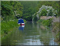 Narrowboat moored along the Chesterfield Canal