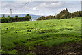 R7482 : Fields north of minor road by David P Howard
