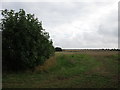 Field off Gorse Hill Lane